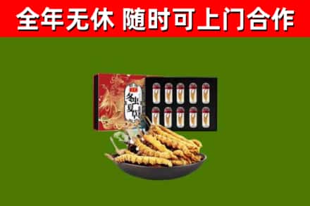 察雅回收冬虫夏草价格